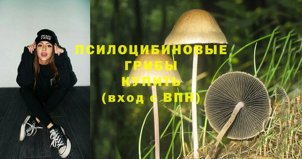 трава Баксан