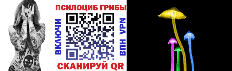 Галлюциногенные грибы Psilocybe  даркнет сайт  MEGA ONION  нарко площадка клад  Заинск 